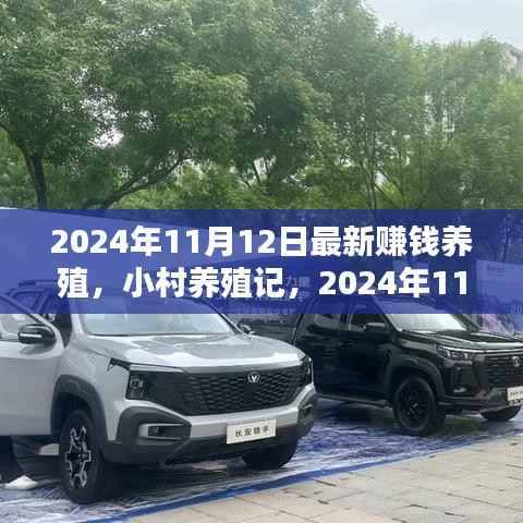 小村养殖记,赚钱新篇章与友情温暖瞬间(2024年11月12日最新)