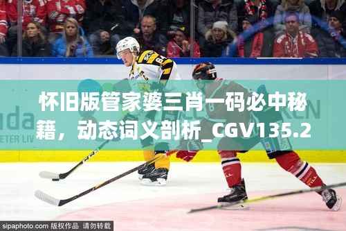 怀旧版管家婆三肖一码必中秘籍,动态词义剖析_CGV135.21