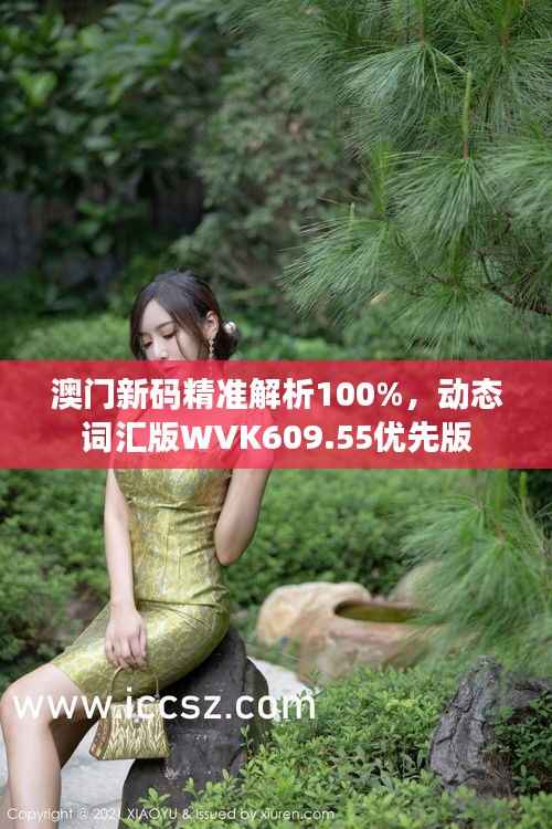 澳门新码精准解析100%,动态词汇版WVK609.55优先版