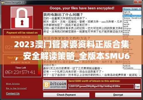 2023澳门管家婆资料正版合集,安全解读策略_全版本SMU670.27