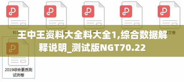 王中王资料大全料大全1,综合数据解释说明_测试版NGT70.22