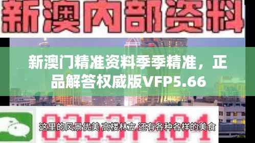 新澳门精准资料季季精准,正品解答权威版VFP5.66