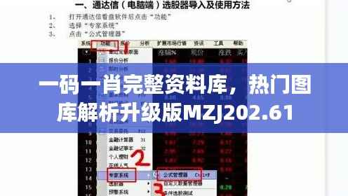 一码一肖完整资料库,热门图库解析升级版MZJ202.61