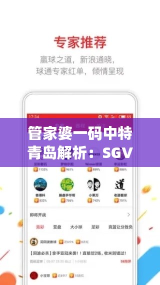 管家婆一码中特青岛解析:SGV674.55全新版状况评估