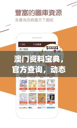 澳门资料宝典,官方查询,动态词汇解读_精简QIK793.33