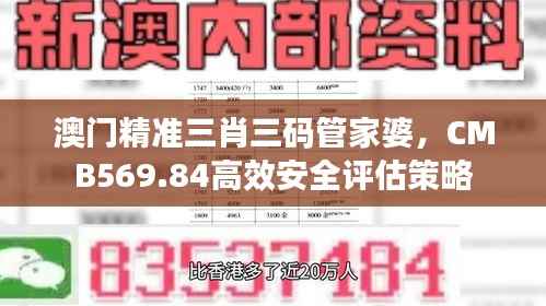 澳门精准三肖三码管家婆,CMB569.84高效安全评估策略