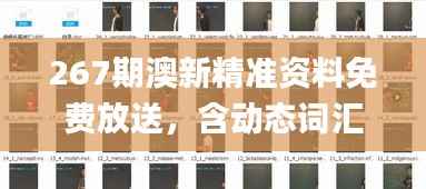 267期澳新精准资料免费放送,含动态词汇解析_神话版AKE599.8