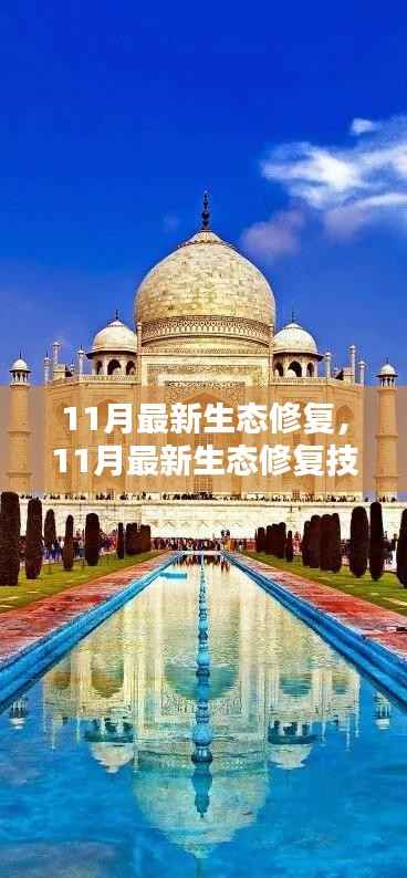 揭秘,最新生态修复技术重塑自然之美的秘密武器,11月最新进展报告