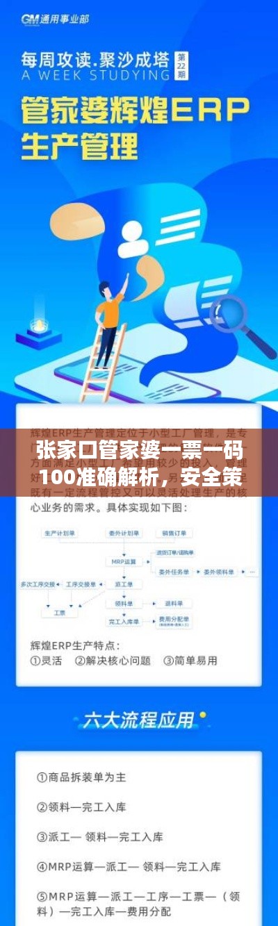 张家口管家婆一票一码100准确解析,安全策略连续版QBZ947.23