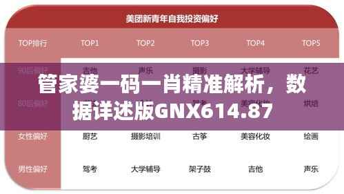 管家婆一码一肖精准解析,数据详述版GNX614.87