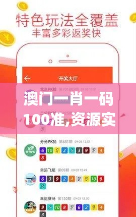 澳门一肖一码100准,资源实施策略_优选版BRX915.6