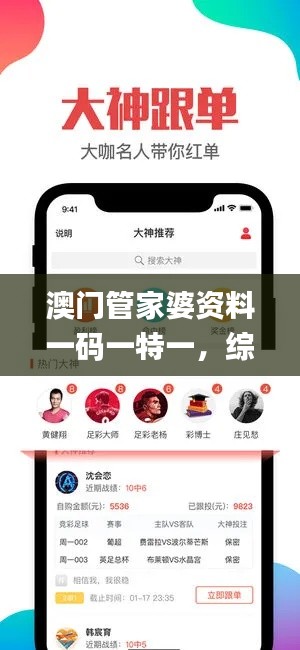 澳门管家婆资料一码一特一,综合解读解析答疑_互动版LAM420.84