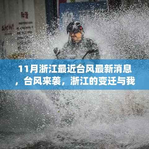 浙江台风来袭背后的变迁与励志故事,最新消息揭示挑战与希望的力量