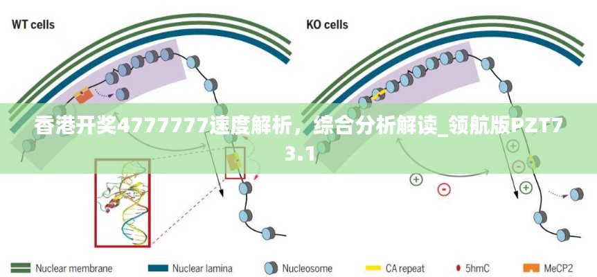 香港开奖4777777速度解析,综合分析解读_领航版PZT73.1