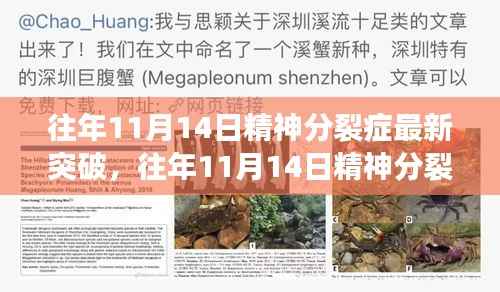 精神分裂症研究新突破深度解析与多方观点探讨,历年11月14日的进展报告