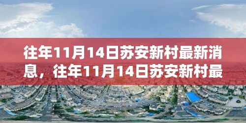 往年11月14日苏安新村消息速递，最新动态概览