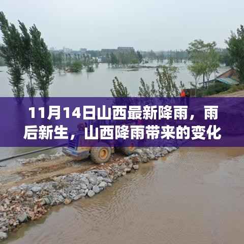 山西降雨带来的变化与启示,雨后新生与自我超越的思考