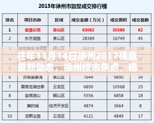 揭秘徐州楼市动态,揭秘往年11月14日徐州楼盘最新动态与深远影响