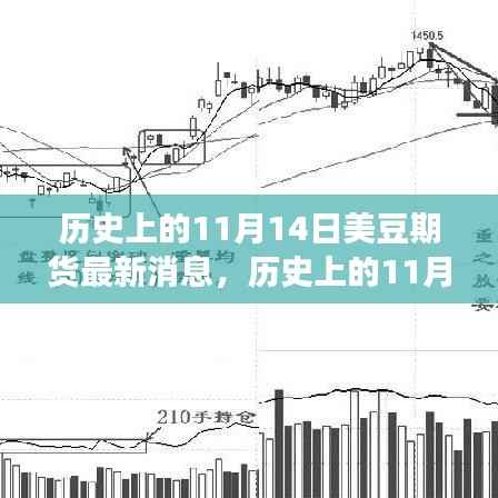 历史上的11月14日，美豆期货消息与市场传奇，科技产品引领交易未来
