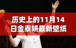 金泰妍11月14日壁纸新纪元,探寻独特魅力与历史壁纸回顾