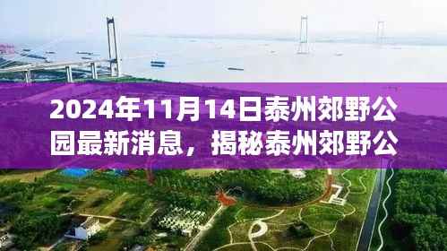 揭秘泰州郊野公园最新动态,探秘指南与公园新亮点揭秘(2024年11月更新)