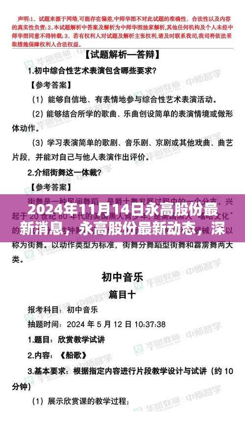 永高股份最新动态深度解析,产品特性、用户体验与目标用户群体分析(2024年11月14日)