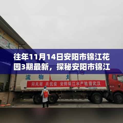 探秘安阳市锦江花园三期隐藏小巷的独特小店，最新发现之旅（日期标注版）