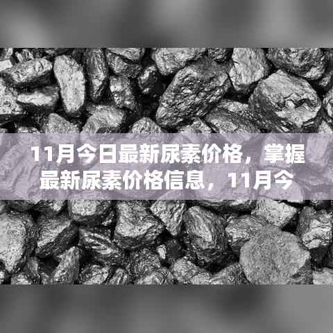 11月最新尿素价格全攻略,从初学者到进阶用户,掌握尿素价格查询全信息