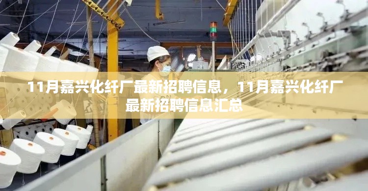 11月嘉兴化纤厂最新招聘信息汇总,一站式了解所有职位