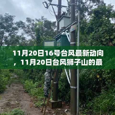 11月20日台风狮子山最新动向,影响与地位揭秘