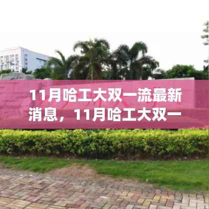 哈工大双一流发展动态及亮点解析,最新消息揭秘十一月进展