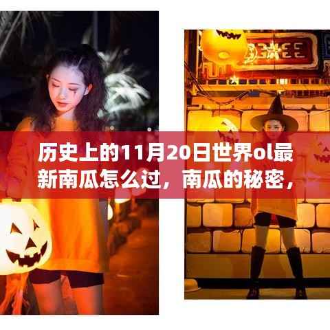 探寻南瓜的秘密,自然美景探险之旅与内心的宁静平和之路