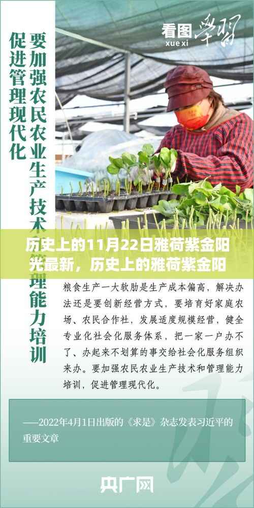 雅荷紫金阳光的历史变迁,学习变化的力量与自信的闪耀历程纪念回顾