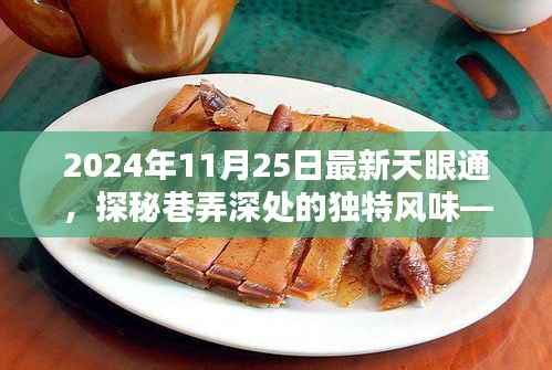天眼通新发现,巷弄深处的隐藏小店,独特风味探秘之旅(2024年11月25日)