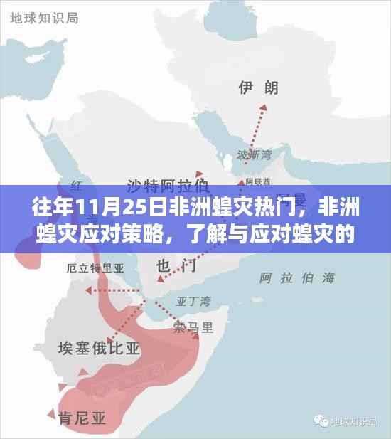 非洲蝗灾应对策略详解,从入门到进阶的指南与指南的重要性分析