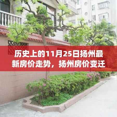 11月25日扬州房价变迁,暖心故事与房价波动中的家园情怀