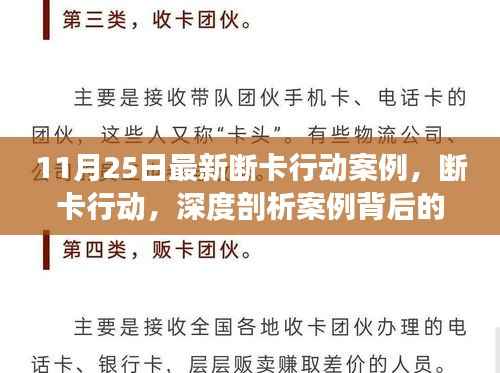 11月25日最新断卡行动案例深度解析，意义、争议与背后故事