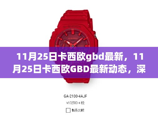 深度解析与观点阐述,11月25日卡西欧GBD最新动态与趋势展望