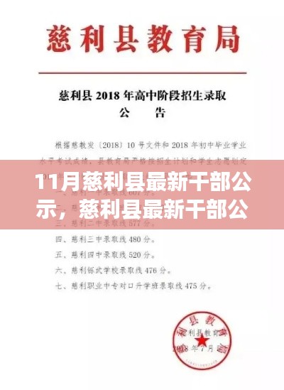 慈利县最新干部公示发布,查看步骤与指南助你轻松掌握信息获取技能