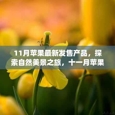 十一月苹果新品探索自然美景之旅,发现内心的平和力量,新品伴你远离尘嚣