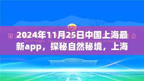 探秘自然秘境，上海最新App引领旅行新风尚，启程寻找心灵宁静之旅（2024年11月25日）