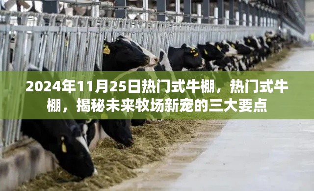 揭秘未来牧场新星,热门式牛棚的三大要点(2024年11月25日)