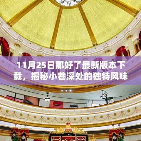 11月25日最新版本下载，小巷深处的独特风味与特色小店探秘
