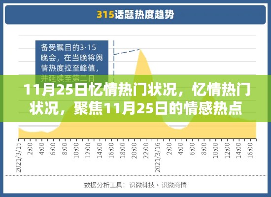 聚焦情感热点,11月25日忆情热门状况回顾