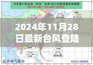台风来袭!阳江最新台风应对指南——初学者安全指南