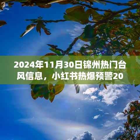 2024年锦州超级台风预警,全方位解读台风信息,提前做好防御准备