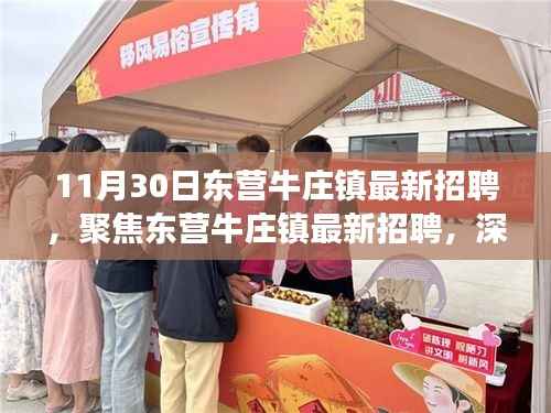 11月30日东营牛庄镇最新招聘解析,职业发展的机遇与挑战聚焦