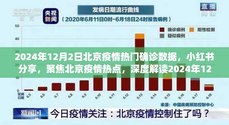 北京疫情热点解读,深度分析2024年12月2日确诊数据,小红书分享聚焦疫情动态