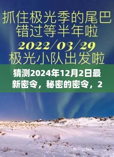 探秘2024年12月2日最新密令,温馨探秘之旅