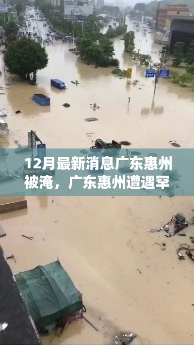 广东惠州罕见洪涝灾害,最新淹没情况及应对措施